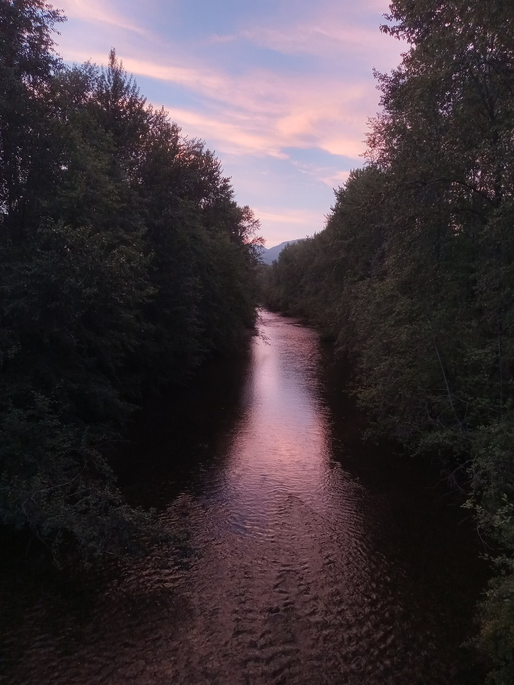 7 Years! Happy Birthday, Loud Mouth Brown&nbsp;Girl