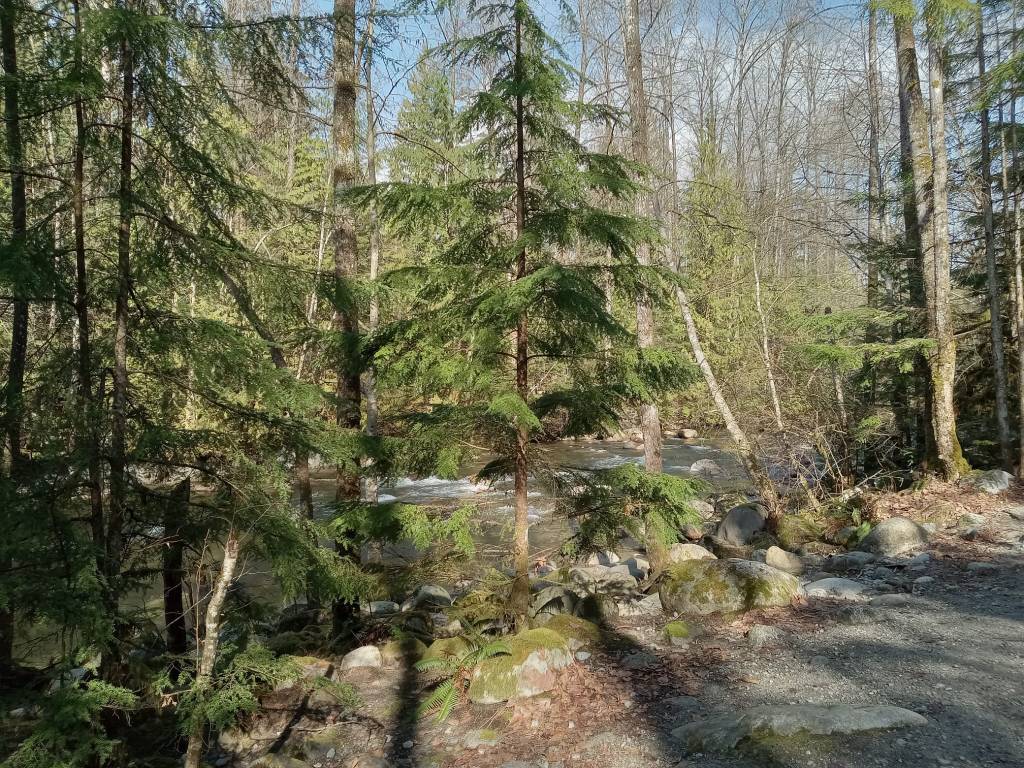 In All Things You Do, Remember Your&nbsp;Why